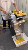 Convient aux supermarchés : trancheuse à viande fraîche et machine à trancher la viande électrique commerciale