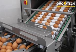 Rompehuevos OVO-TECH RX-4, Caja de Engranajes para Máquina de Romper Huevos, Alimentador de Correa Autoajustable, Capacidad de 26000 Huevos/Hora, Motor Comercial - Product Image 3