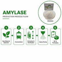 Poudre d'enzyme Amylase de qualité alimentaire 200000 U/g pour la boulangerie et la brasserie