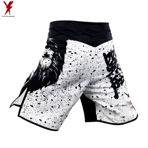 Nouveau modèle 2024 Design unique MMA Short Grappling Short Short de combat Logo personnalisé de haute qualité - Product Image 2