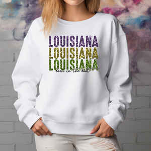 Pegatinas de Transferencia de Calor con Diseño de Boina de Luisiana, Apliques de Sublimación para Prendas y Sudaderas - Product Image 3