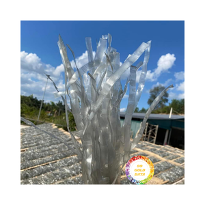 VIETNAM ARROWROOT VERMICELLI EXPORTACIÓN ESTÁNDAR PRODUCTO DE CALIDAD PREMIUM COLOR NATURAL CON BUEN PRECIO - Product Image 6