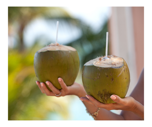 Vente en gros de haute qualité extraction d'eau de coco du Vietnam de haute qualité au meilleur prix noix de coco pelée de diamant - Product Image 6