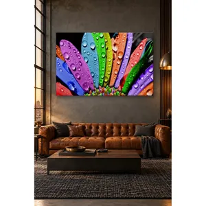 Impression sur toile de gouttes d'eau Fida sur des pétales de fleurs arc-en-ciel - Product Image 1