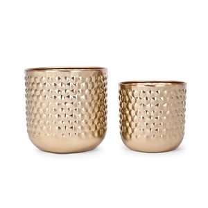 Pot de fleurs élégant en or, design contemporain, idéal pour l'affichage de plantes décoratives en intérieur et en extérieur, fabriqué à la main en Inde - Product Image 1