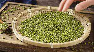 Premium alla rinfusa <span class=keywords><strong>fagioli</strong></span> verdi <span class=keywords><strong>Mung</strong></span> dall'India di alta qualità per cucinare snack di esportazione pronti per il miglior prezzo - Product Image 3