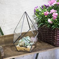 Fabricant Pyramide Triangle Géométrique Terrarium Moderne Artistique Verre Clair Géométrique Terrarium Planteur
