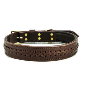 Collar de piel trenzada a mano para perro, con hebilla de rodillo chapada en oro y acabado premium, de alta calidad - Product Image 6