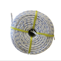 Premium Kalite Yüksek Mukavemetli Çevre Dostu UHMWPE Bükümlü Teller Beyaz 4mm-30mm Çaplı Denizcilik Ambalaj Balık Ağı Ambalajı