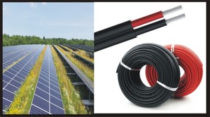 Cables Solares - Product Image 4
