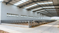 Structure moderne en acier Ferme d'élevage de vaches Hangar de garage Maison préfabriquée Entrepôt pour ateliers Plantes Vent élevé