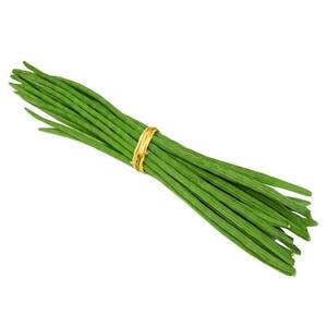Organic <b>Fresh</b> <b>Vegetable</b> Drumsticks Export Quality - Product Image 1