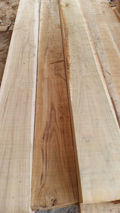 Gỗ tếch Lào chất lượng cao với giá cả cạnh tranh - đã được bào, khai thác, tự nhiên và hoàn hảo cho các giao dịch bán buôn. - Product Image 5