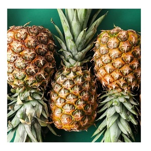 Ananas frais biologiques dorés, variété MD2/Queen, 15-25 cm, sucrés - Product Image 5