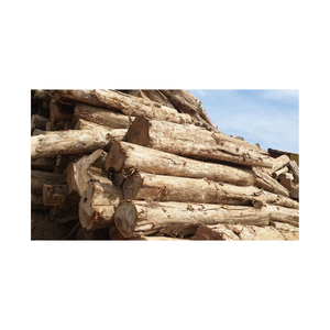 Incluye madera de pino de roble teca patrón redondo abedul haya Cerezo Tali KD madera de pino de alta calidad troncos muebles almacén - Product Image 6