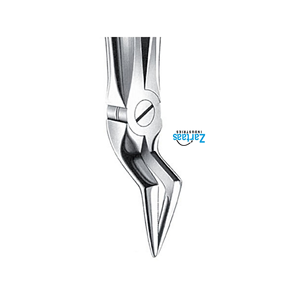 Fórceps de extracción de acero inoxidable de alta calidad raíces superiores fig. 51 exportadores y fabricante - Product Image 2