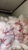 Poulet entier frais congelé en sacs, coupes de volaille halal pour la consommation humaine, origine USA, emballage en vrac, ailes de poulet congelées