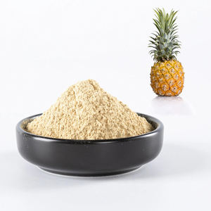 Polvo de piña pura al por mayor polvo de grado premium de piñas precio más barato de Vietnam - Product Image 5