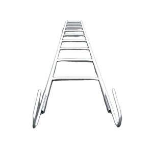 Escalera <span class=keywords><strong>de</strong></span> Mono para Andamio Ringlock Tubo <span class=keywords><strong>de</strong></span> Acero Galvanizado Escalera con Ganchos Construccion Plataforma Acceso Colgante - Product Image 1