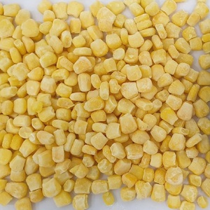 Maíz Dulce Congelado Fresco LQF de Vietnam, Tipo Mazorca, Conservación a Granel con Envasado al Vacío en Agua, Vegetales - Product Image 3