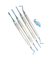 Kit de 4 instruments dentaires manuels en acier inoxydable de haute qualité pour composites, pointes argentées, légers et réutilisables