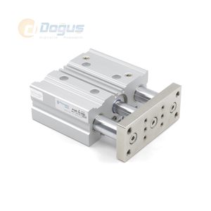 Cilindro Magnético de Doble Rodamiento Serie PGB 12, Piezas Neumáticas - Product Image 1