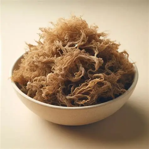 GROS MOSS DE MER EXPORTATION EN VRAC MEILLEUR PRIX - Product Image 5