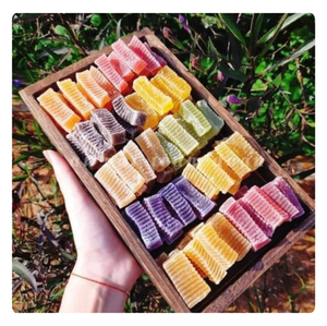 Meilleur choix-GUMMIES DE MOUSSE DE MER NATURELLE pour le bien-être, extraits de fruits frais-Vietnam Top Export - Product Image 1