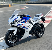 Moto électrique à deux roues 3000W de haute qualité, style tendance en Amérique, performances fiables pour usage domestique, transport royal, vente chaude