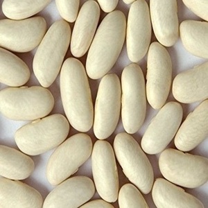 ถั่วขาวแห้งคุณภาพสูง จำหน่ายจำนวนมาก 500 กก. อายุการเก็บรักษายาวนาน - Product Image 1
