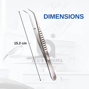 Alicates de algodón Dental profesional Pinzas de acero inoxidable Instrumentos de cirugía oral Alicates de algodón Dental de alta calidad - Product Image 4