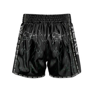 Pantalones Cortos de Artes Marciales Mixtas Healy, Sublimados, de Secado Rápido, de Poliéster, para Hombre, Deportivos, de Boxeo, Corte Regular, Cintura Elástica para Adultos - Product Image 2