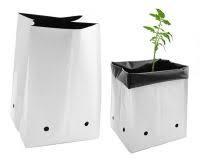 ถุง100% ธรรมชาติ COCO พรุเติบโต - Product Image 5