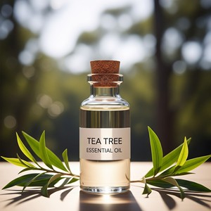 Approvisionnement en vrac de haute qualité 100% huile essentielle d'arbre à thé pur naturel - Product Image 3