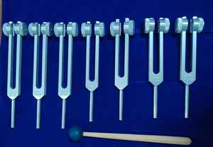 Nouvel ensemble de diapasons 4 pièces argentés 100 200 50 25 Hz pour la guérison, dans un étui en velours rouge - Product Image 3