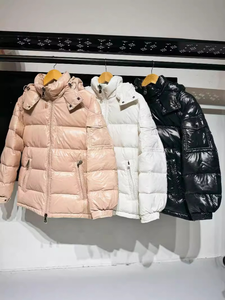 Blouson matelassé unisexe brillant à capuche, manteau d'hiver chaud, veste bouffante rose, blanc, noir, vêtement d'extérieur rembourré, mode premium - Product Image 2