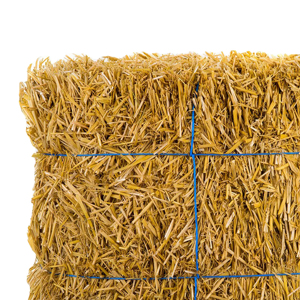 หญ้าโรดิสสดฟางอัดฟางคู่คุณภาพการส่งออกสําหรับทุกประเทศจัดส่งที่มีอยู่ - Product Image 2