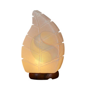 Venta caliente sal en forma de hoja hecha a mano personalizada 100% sal pura del Himalaya sal en forma de hoja de alta calidad - Product Image 2