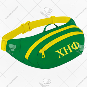 Chi Eta Phi sororité taille sac femmes élégant voyage ceinture sac prêt à expédier haute qualité grec Fanny Pack - Product Image 1