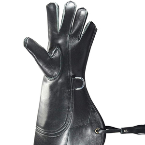 ถุงมือฟอลคอนรีสำหรับฝึกแบบสีต่างๆผลิตจากโรงงานมืออาชีพ - Product Image 2