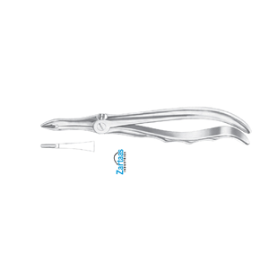Fórceps de extracción de acero inoxidable de alta calidad raíces superiores fig. 44 exportadores y fabricante - Product Image 1
