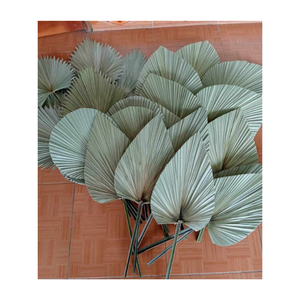 Abanico de hojas de palma de paja respetuoso con el medio ambiente de Vietnam, abanicos de bambú de colores para el verano 99GD de Vietnam, la mejor oferta - Product Image 2