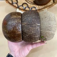 Proveedor de Vietnam, Portavelas de Cáscara de Coco Natural de Alta Calidad, Recipiente Decorativo para el Hogar con Capa Impermeable, Venta al Por Mayor
