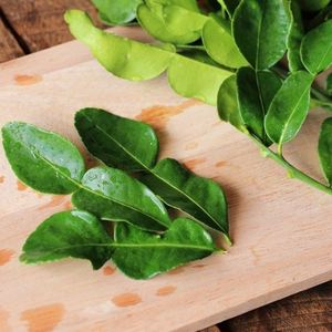 Hojas de Lima Congeladas a Granel con Alto Aroma para Cocina e Industria Alimentaria - Product Image 1