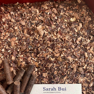 VIETNAM CAJOU HUSK 3-10MM pour TANNING Vente en gros Taille naturelle Cosse de noix de cajou crue pour l'alimentation animale Poudre de noix de cajou - Product Image 3