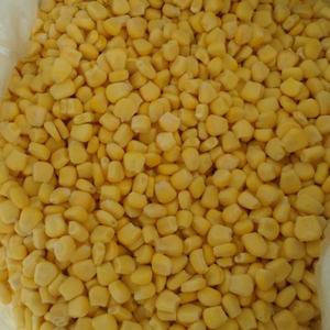 Maíz Dulce Congelado Fresco LQF de Vietnam, Tipo Mazorca, Conservación a Granel con Envasado al Vacío en Agua, Vegetales - Product Image 2