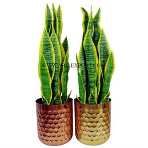 Hermosa textura, de 2 niveles maceta de Metal, diseño moderno, elegante exhibición de plantas para interiores y exteriores, macetas y macetas para el hogar - Product Image 4