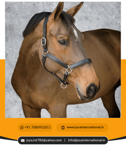 Prix de gros Produits équestres de haute qualité Conception personnalisée Halters Bright Rembourré Halter pliable léger pliable - Product Image 2