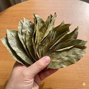 Hojas de guanábana secas para uso en té - Product Image 5