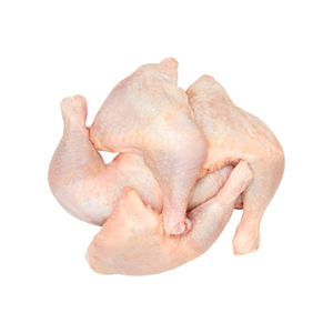 Muslo de Pollo Halal Congelado en Bolsa, Alta Calidad, Grado A, Bajo en Grasa, a Granel - Product Image 4